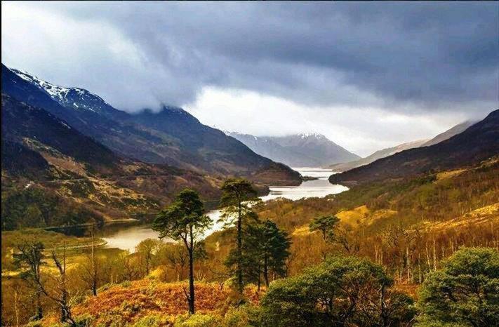 Forest View Guest House Kinlochleven Exterior foto